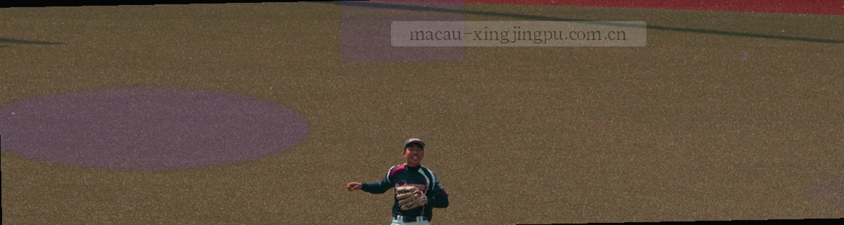 五段长度不一的横向标签条并排，从左到右依次对应阵容与名单、赛程与回放、选手数据、分组与概率、版本与首页，前四段等长，末段较短